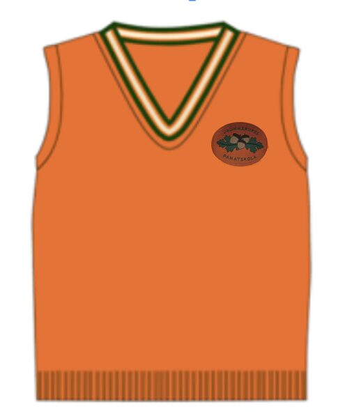 Oranža skolas veste ar logo